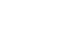 2019 – IRBSL